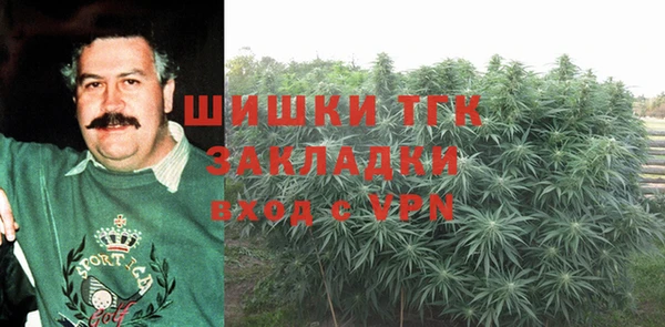 apvp Алексин