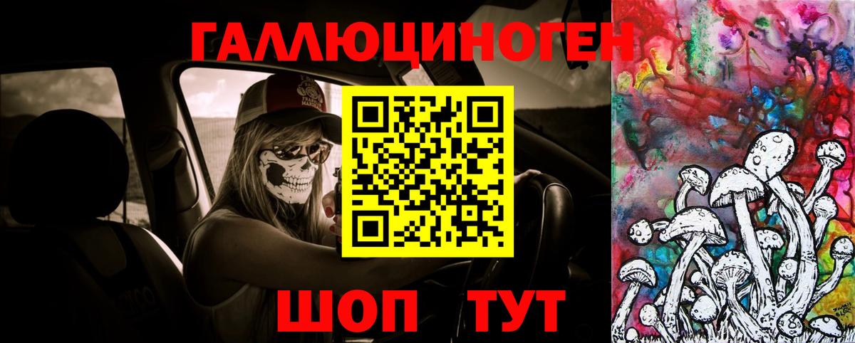 Галлюциногенные грибы мухоморы Асино