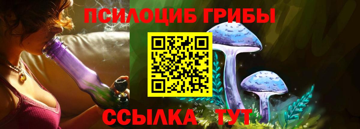Псилоцибиновые грибы Magic Shrooms  Вход с VPN  Асино 